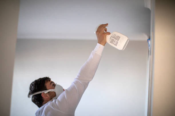 Best Mold Remediation  in Wendell, NC