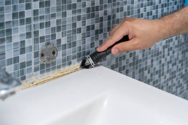 Mold Testing and Removal in Wendell, NC