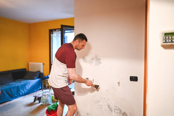 Best Crawl Space Mold Removal  in Wendell, NC